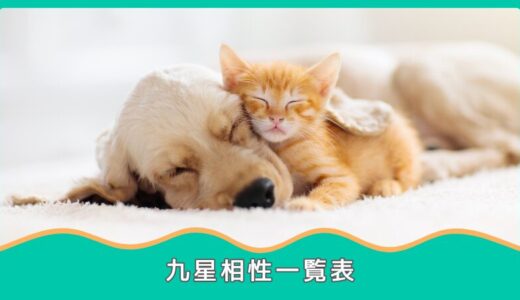 相性の良い九星の一覧表