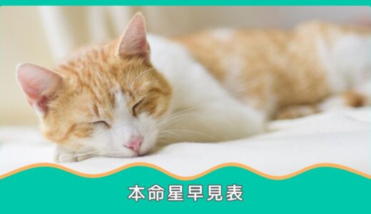 本命星早見表